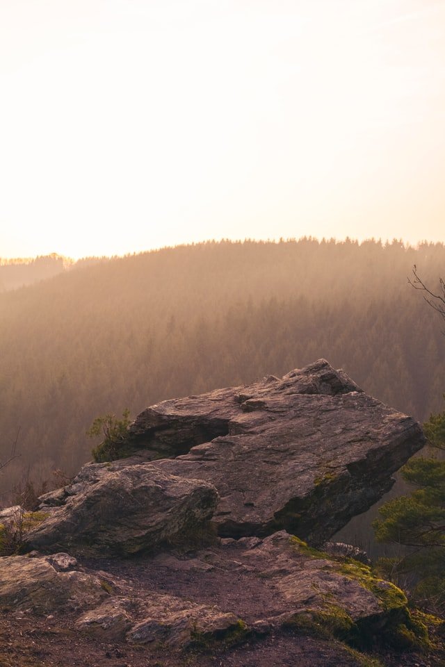 Boomhut overnachting Ardennen