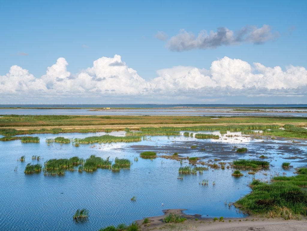 Marker Wadden bezoeken in Flevoland