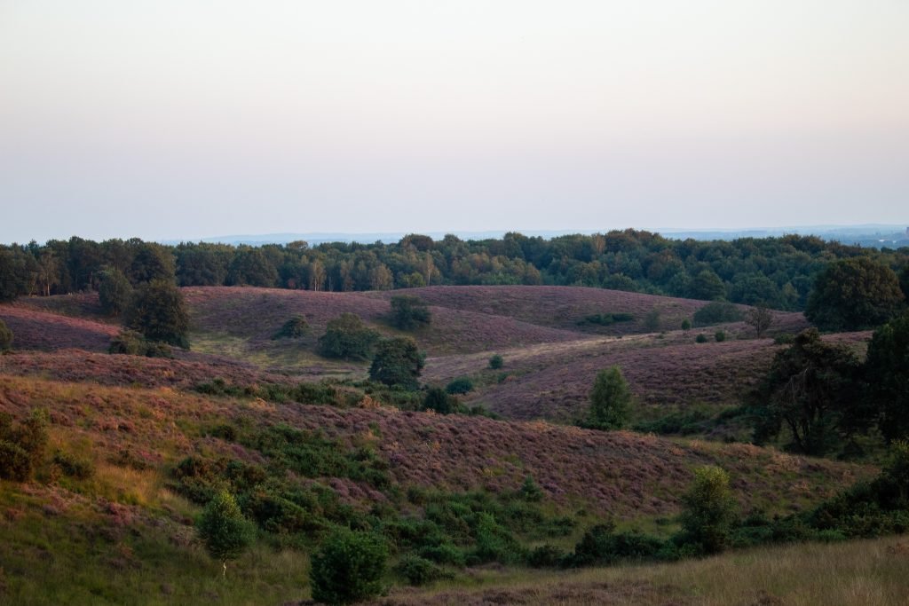 Veluwe Toren Uitzicht